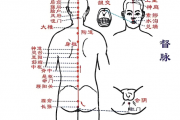 任督二脉具体是指什么