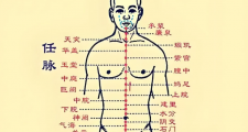 任督二脉具体是指什么