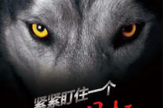 关于目标与野心