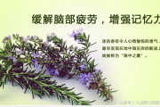 《一个月学会八字算命》第二课 天干地支与阴阳