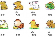 《一个月学会八字算命》第二课 天干地支与阴阳