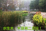 《一个月学会八字算命》第三课 五行相生与相克